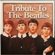 Various - Tribute To The Beatles